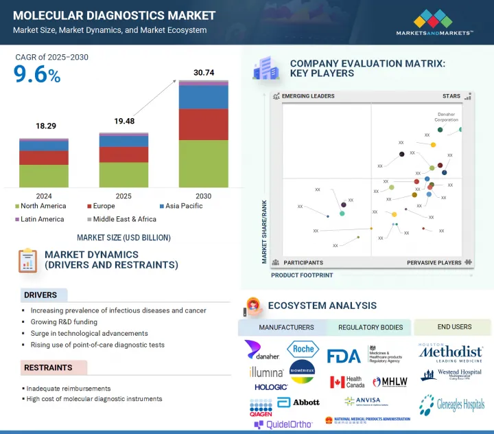 Molecular Diagnostics Market-IMG1