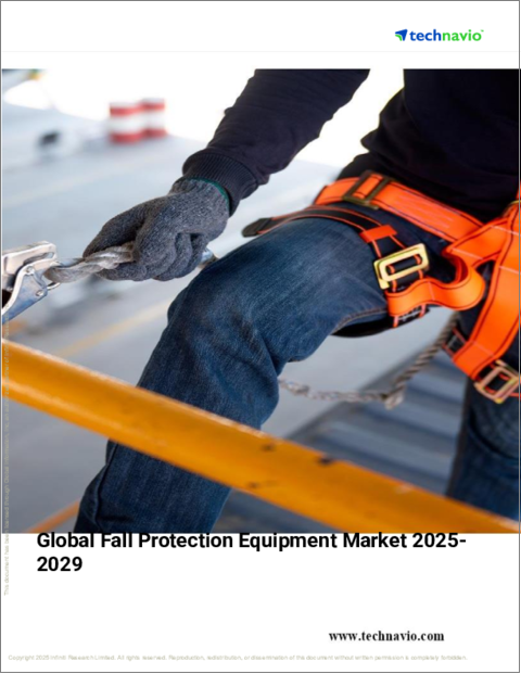 表紙:落下防止装置の世界市場 2025~2029年