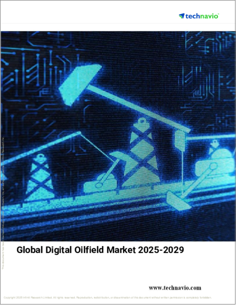 表紙:デジタル油田の世界市場、2025-2029年