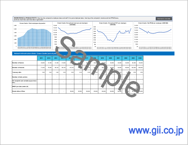 サンプル2:キャリアニュートラルオペレーターの市場レビュー (2024年第4四半期):生成AIブームでプライベートエクイティの参入が加速