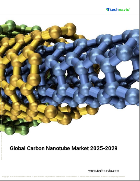 表紙:カーボンナノチューブの世界市場、2025年~2029年