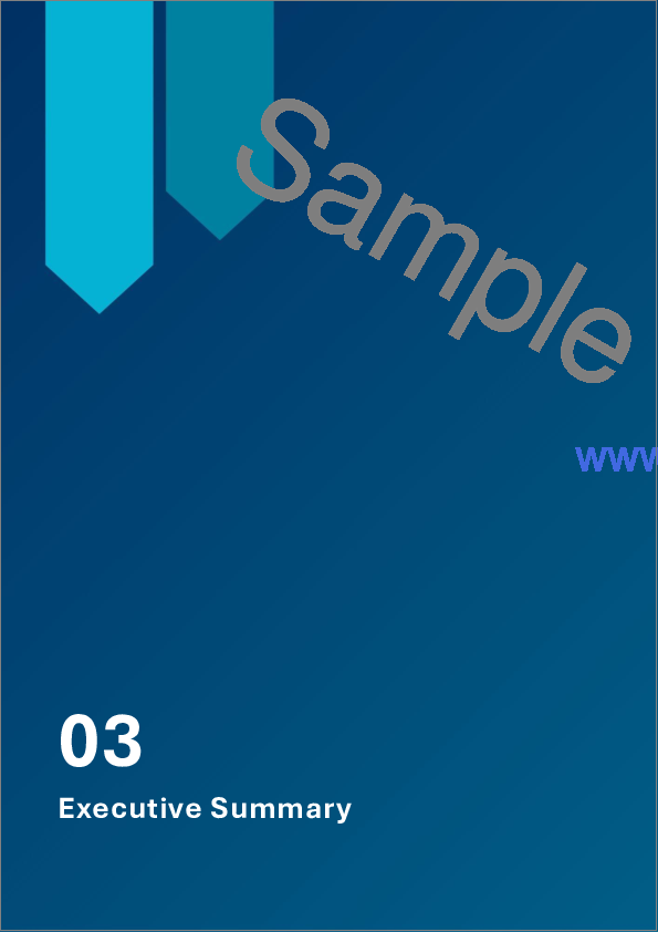 サンプル2:気道管理デバイス市場レポート:製品、患者タイプ別、用途、最終用途、地域別、2025年~2033年