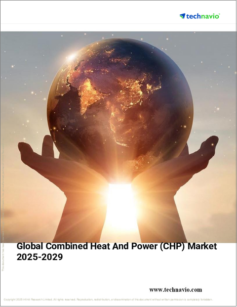 表紙:熱電併給(CHP)の世界市場 2025-2029