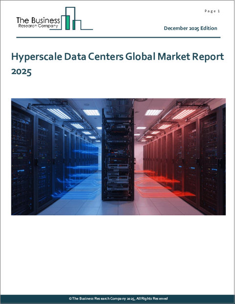 表紙:ハイパースケールデータセンターの世界市場レポート 2025年