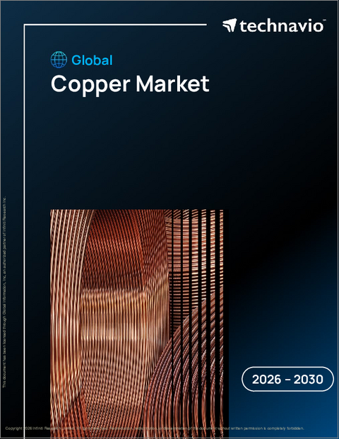表紙:世界の銅市場2026-2030年