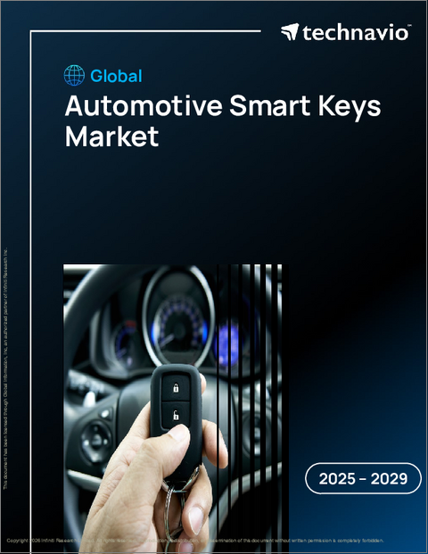 表紙:世界の自動車用スマートキー市場2025-2029年
