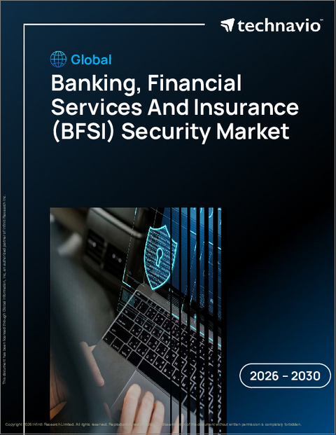 表紙:世界の銀行・金融サービス・保険(BFSI)セキュリティ市場2026-2030年