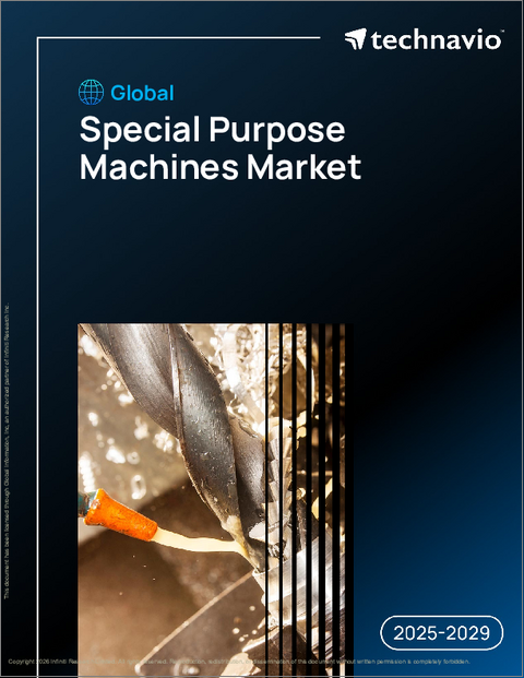 表紙:世界の特殊用途機械市場2025-2029年